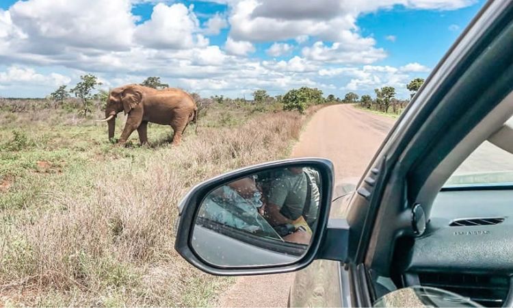 Self Drive Tips in Kenya