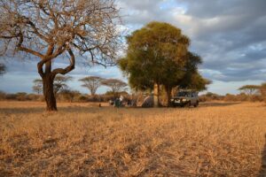 TOYOTA LAND CRUISER GX MANUAL HIRE IN KENYA