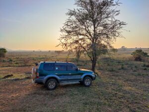 Toyota Land Cruiser Prado Hire in Kenya